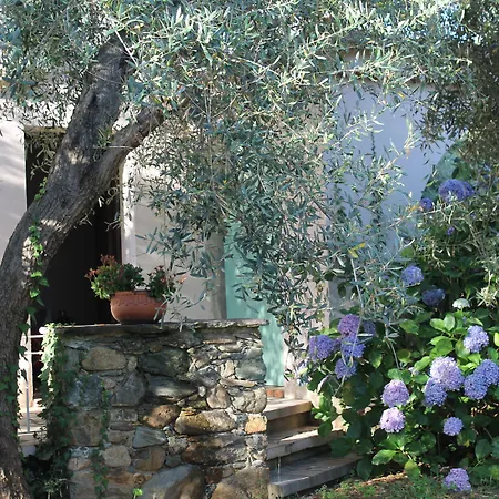 D'hotes Le Clos Des Oliviers Sorbo-Ocagnano