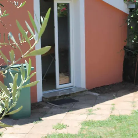 Szálloda D'hotes Le Clos Des Oliviers Sorbo-Ocagnano