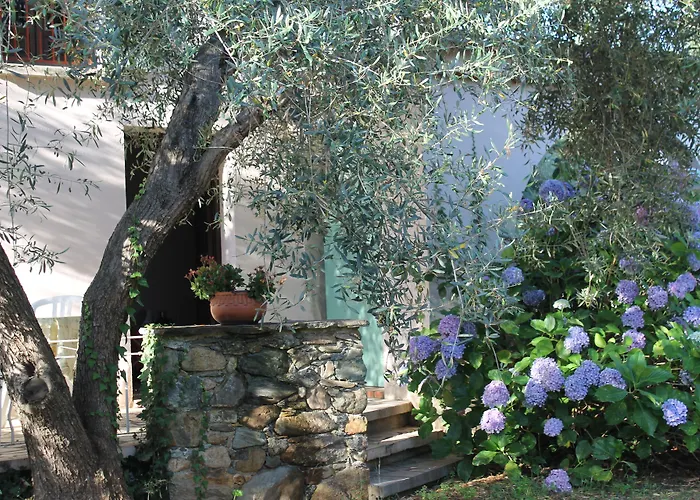 D'hotes Le Clos Des Oliviers Sorbo-Ocagnano