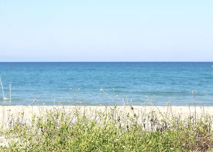 D'hotes Le Clos Des Oliviers מלון 2*