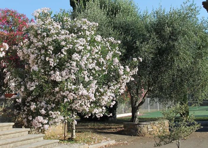 D'hotes Le Clos Des Oliviers 2*