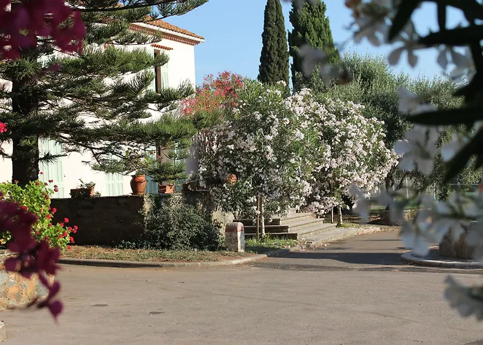 מלון D'hotes Le Clos Des Oliviers Sorbo-Ocagnano