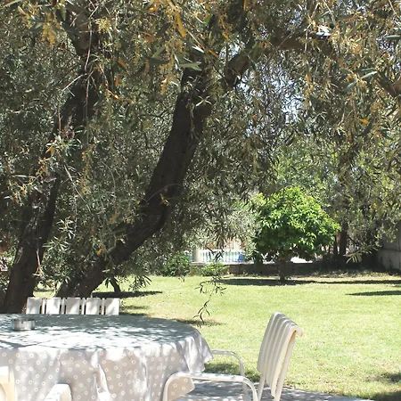 Hotell D'hotes Le Clos Des Oliviers Sorbo-Ocagnano