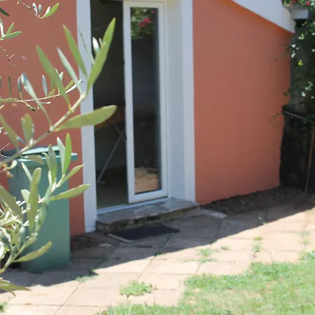 Hotell D'hotes Le Clos Des Oliviers Sorbo-Ocagnano