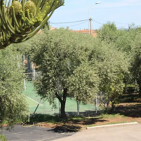 D'hotes Le Clos Des Oliviers 2* Sorbo-Ocagnano