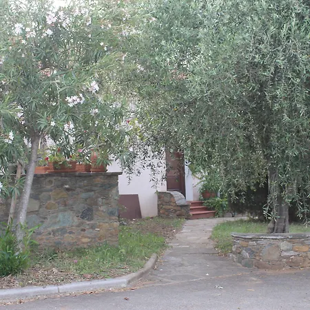 Hotel D'hotes Le Clos Des Oliviers Sorbo-Ocagnano