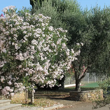 D'hotes Le Clos Des Oliviers 2*