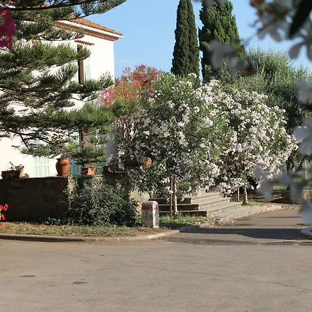Hotell D'hotes Le Clos Des Oliviers Sorbo-Ocagnano