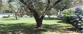 D'hotes Le Clos Des Oliviers 2* Sorbo-Ocagnano