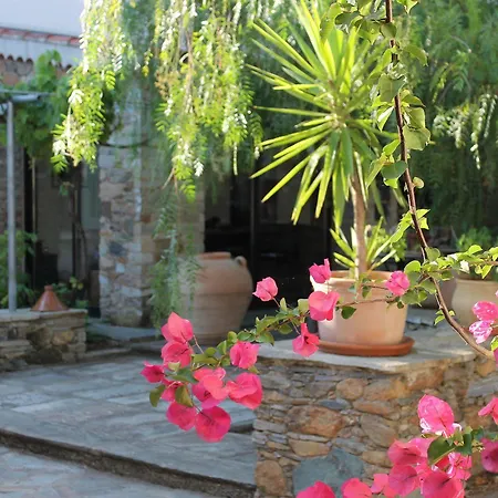 Hotel D'hotes Le Clos Des Oliviers Sorbo-Ocagnano