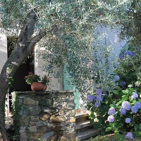 D'hotes Le Clos Des Oliviers 2* Sorbo-Ocagnano