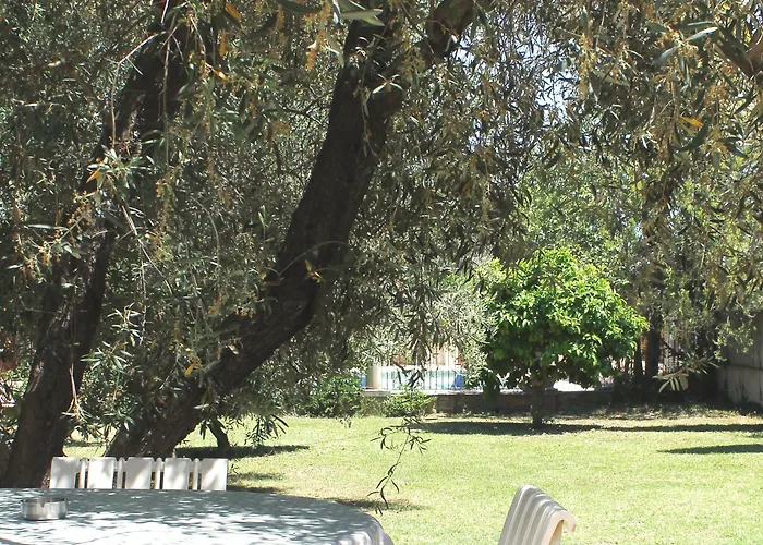 מלון D'hotes Le Clos Des Oliviers Sorbo-Ocagnano