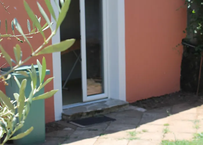 מלון D'hotes Le Clos Des Oliviers Sorbo-Ocagnano