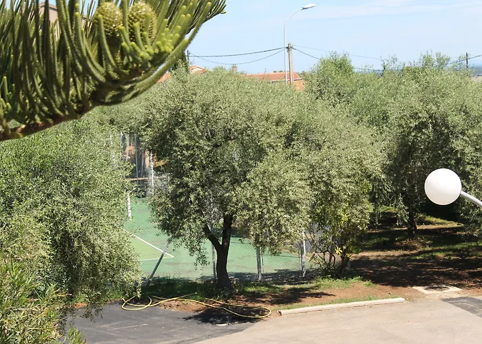 D'hotes Le Clos Des Oliviers 2* Sorbo-Ocagnano