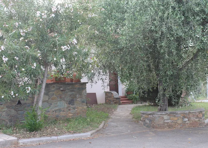 מלון D'hotes Le Clos Des Oliviers Sorbo-Ocagnano